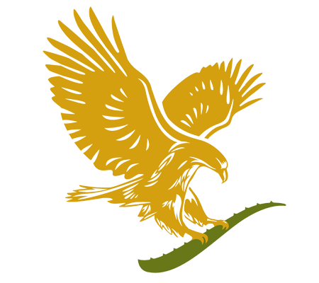 jadooyesalamati.ir